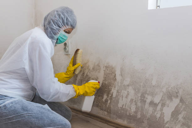 Best Forensic Mold Investigation  in Muenster, TX