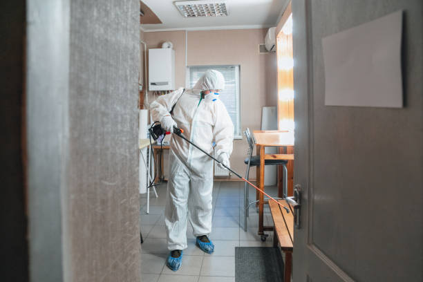 Best Mold Prevention Services  in Muenster, TX