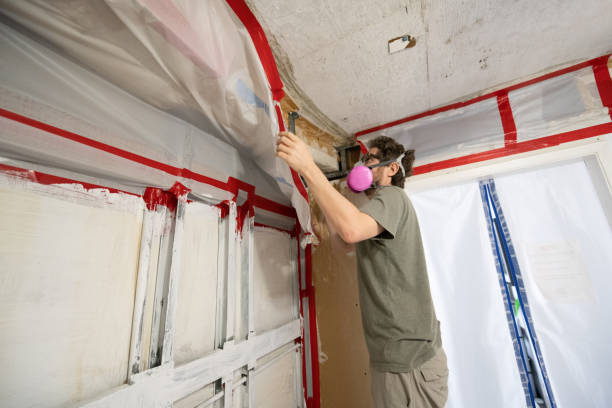Best Airborne Mold Testing  in Muenster, TX