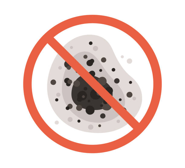 Forensic Mold Investigation in Muenster, TX