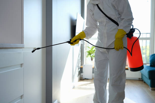 Best Water Damage & Mold Remediation  in Muenster, TX