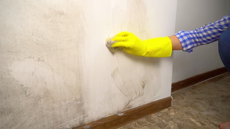 Best Indoor Air Quality Assessment  in Muenster, TX